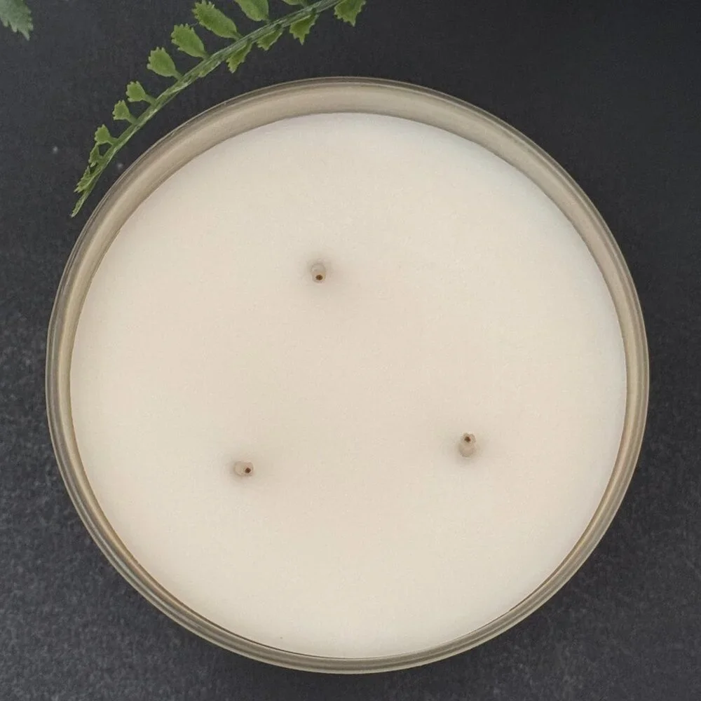 BBW Prosecco & Peaches White Barn Bath & Body Works 3 Wick Candle - Picture 7 of 10